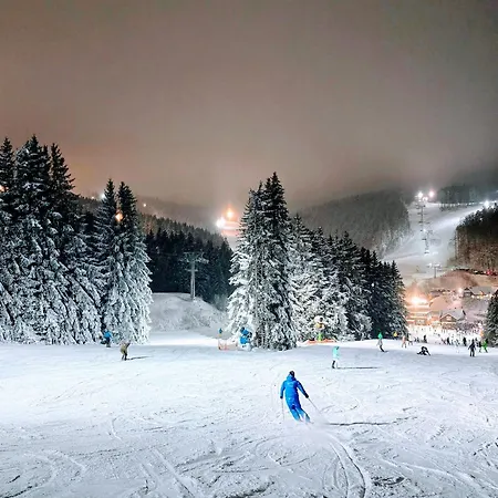 Tannenherz Mit Balkon & Bergblick & Naehe Hillebachsee & 2 Schlafzimmer Apartmán Winterberg