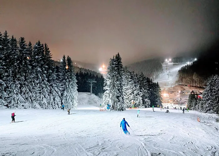 Tannenherz Mit Balkon & Bergblick & Naehe Hillebachsee & 2 Schlafzimmer 아파트 빈터베르크